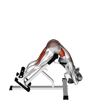 45 degree twisting hyperextension