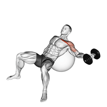 Dumbbell Incline One Arm Fly on Exercise Ball