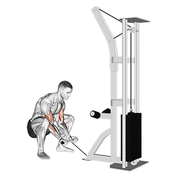 Cable Squatting Curl movement animation