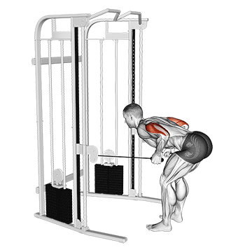 Cable Two Arm Tricep Kickback movement animation