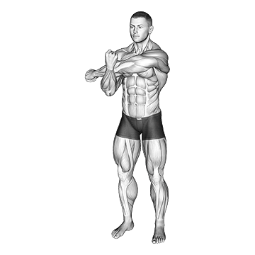 Across Chest Shoulder Stretch