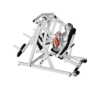 Lever Alternate Leg Press (plate loaded)
