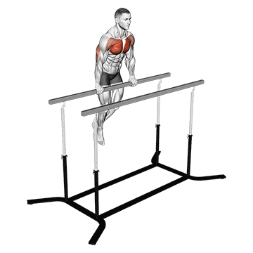 Chest Dip on Straight Bar