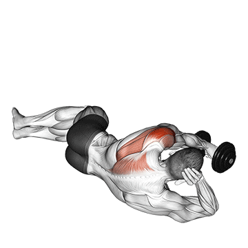 Dumbbell Lying on Floor Rear Delt Raise