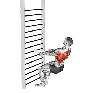 Bodyweight Squatting Row (with towel)