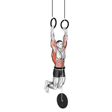 Weighted Muscle up
