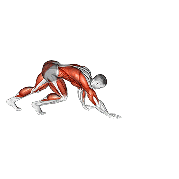Bear Crawl movement animation