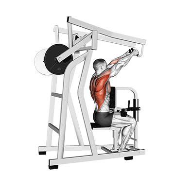 Lever High Row (plate loaded)