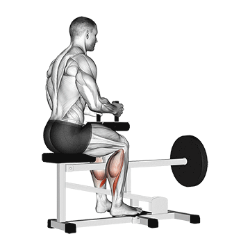 Lever Seated Calf Raise (plate loaded)