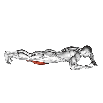 Lying (side) Quadriceps Stretch movement animation