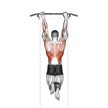 Mixed Grip Chin-up