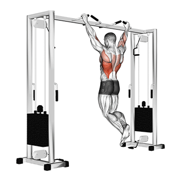 Pull up (neutral grip)