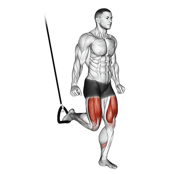 Suspended Split Squat movement animation