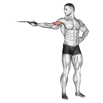 Band one arm overhead biceps cur